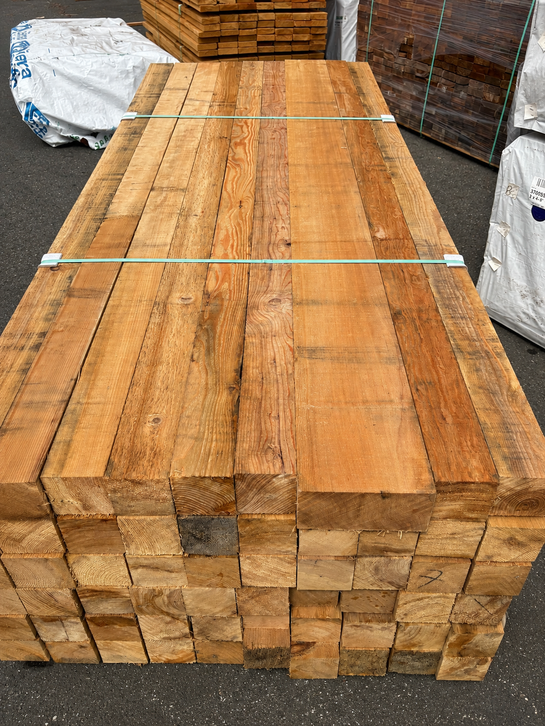 Clear Western Hemlock example 2